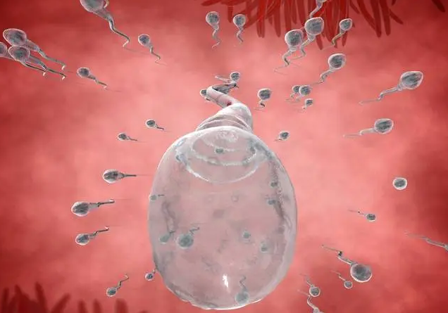 精子活力低表现为精液量减少