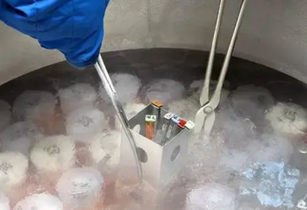 通过第三代试管技术筛选出的某某冷冻一般能保存多久？