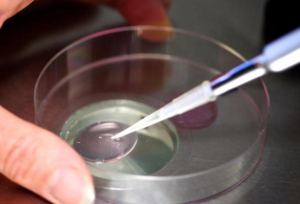 试管婴儿移植后需要注意些什么？饮食、药物等都要关注