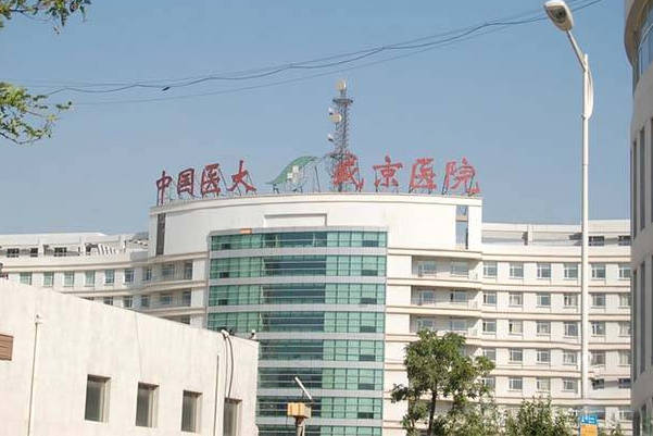 沈阳盛京医院试管婴儿费用盘点，仅促排卵药费便达万元