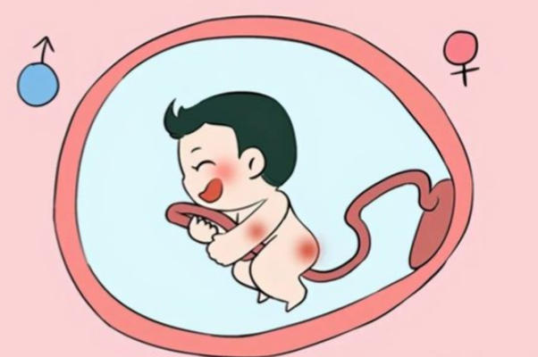 男女备孕需要做什么准备，从身体到心理的全面清单