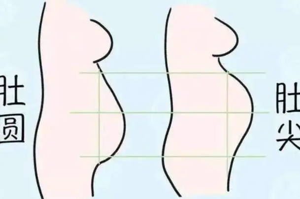 肚子尖尖怀的是男娃