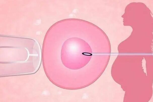 三代试管生下的宝宝不一定很健康