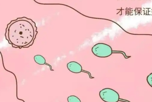 年轻女性做第二代试管的成功率大吗？