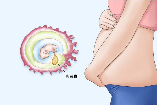 三代试管移植第28天做一超没有看到卵黄囊是什么原因?
