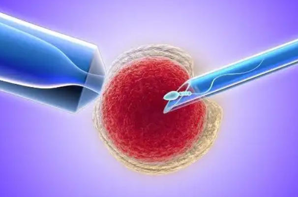 试管婴儿长方案步骤拆解，从准备到移植的保姆级指南