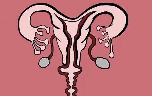 32岁女性子宫内膜血流一级做三代试管影响移植成功率吗？
