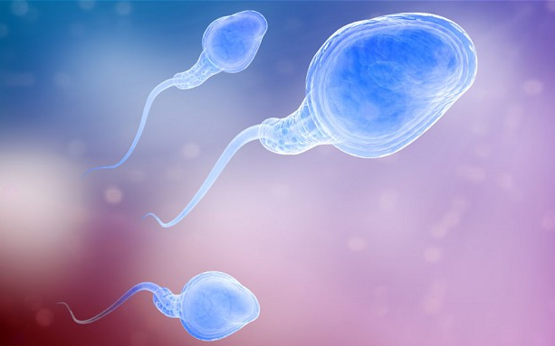 做试管价格，选择别人精子需要注意什么