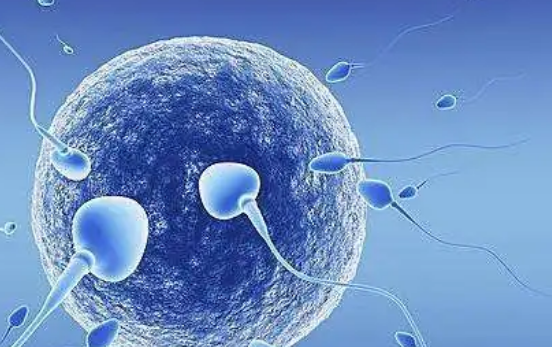 广州哪些医院能做供卵试管婴儿？这6家公立机构别错过