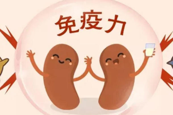 免疫性不孕检查可以判断无法怀孕的原因
