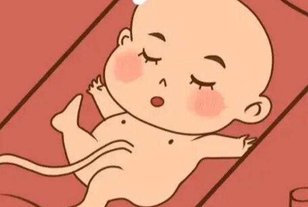 月经周期的第19-21天适宜移植胚胎