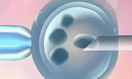 2024年泰安试管婴儿医院实力排名出炉，选择怀孕机构看这些