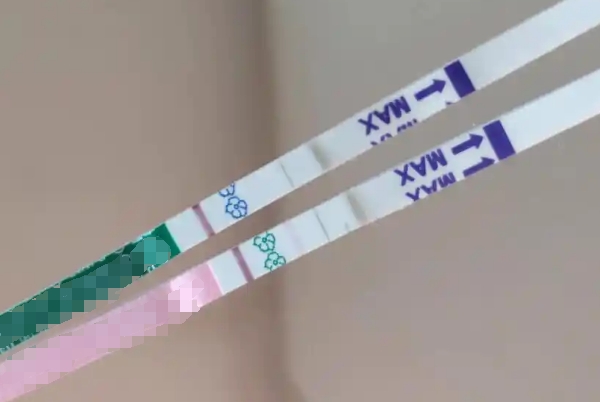 排卵试纸比早早孕更快，两个检测对象不在同个频道上
