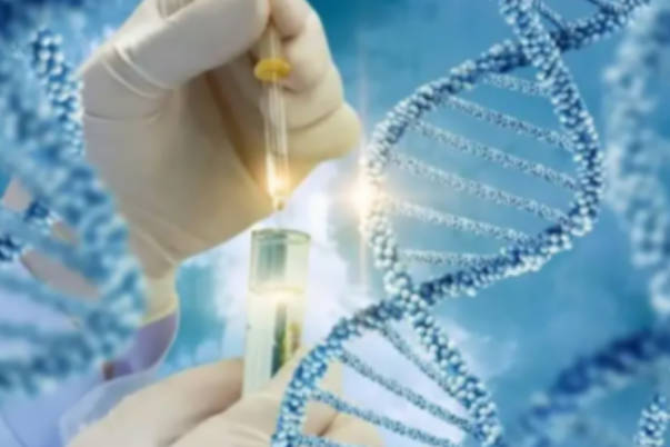 探索多囊肾患者试管婴儿之路：成功诞下健康宝宝的案例多不多