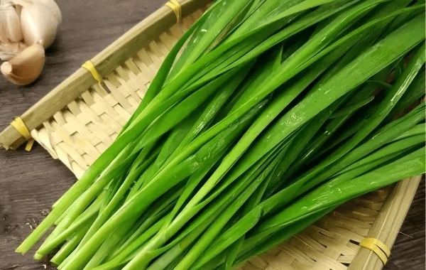韭菜富含膳食纤维有助于生成消化酶