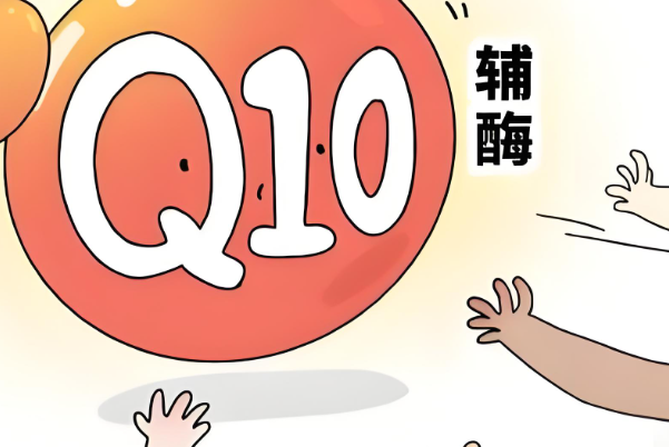 备孕吃辅酶q10提升卵子质量的正确吃法和用量是什么？
