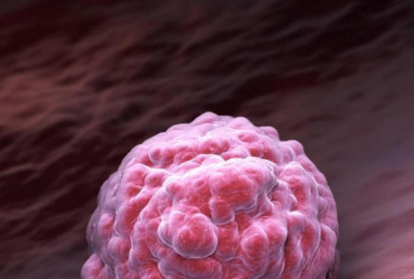 试管移植后第5天胚胎在干嘛，一场生命的微型马拉松