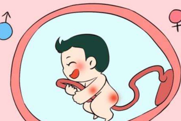 2024年怀孕测是男是女清宫表，看看你会得偿所愿吗
