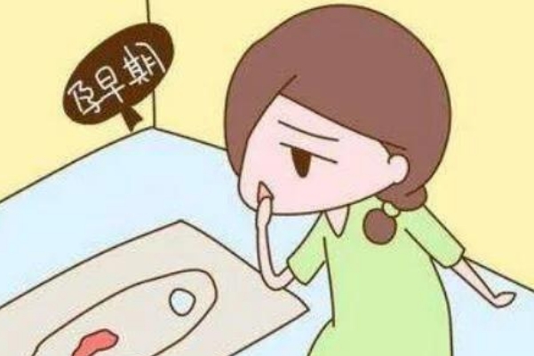 胚胎的着床位置会影响出血量