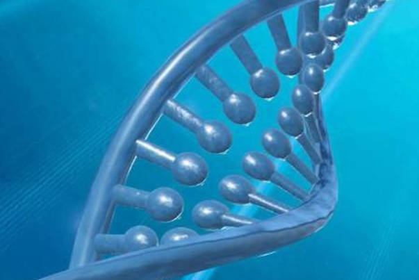 盘点高中生物必修课中染色体变异的五种类型，附相关图解
