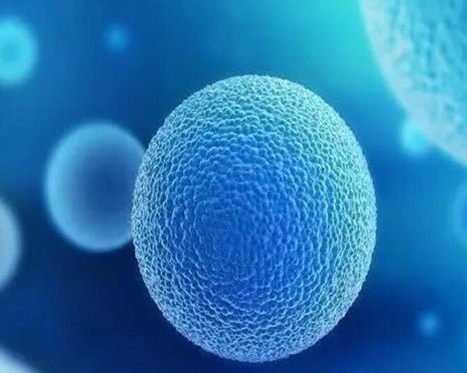 卵泡排出后多久同房容易怀孕，卵泡排出后存活多久？