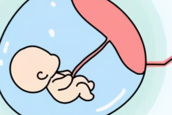 移植后轻微腹痛一般是正常的