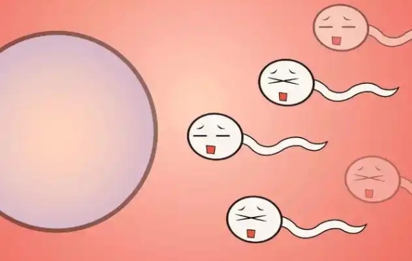 做3代试管期间发现男方精子异常的比较多怎么办？
