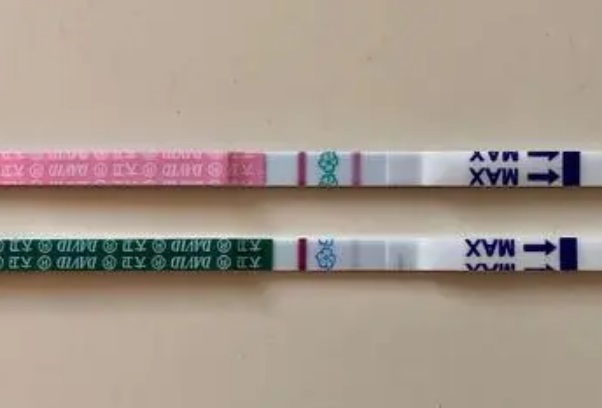 梦见试纸两道杠代表渴望怀孕