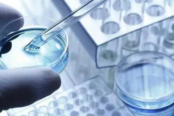 试管婴儿胚胎移植费用在4万元