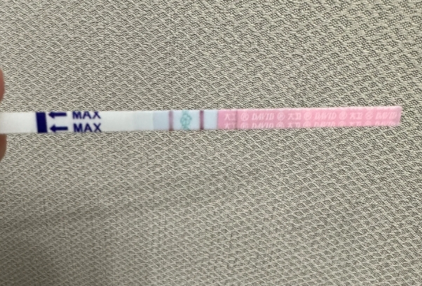 早上用排卵试纸测出强阳是表示怀孕了吗？