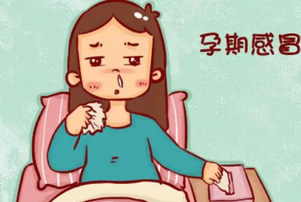 普通感冒通常对胚胎着床影响不大