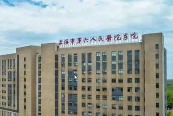 一份上海六院胚胎移植费用清单，冻胚、鲜胚价格有差异