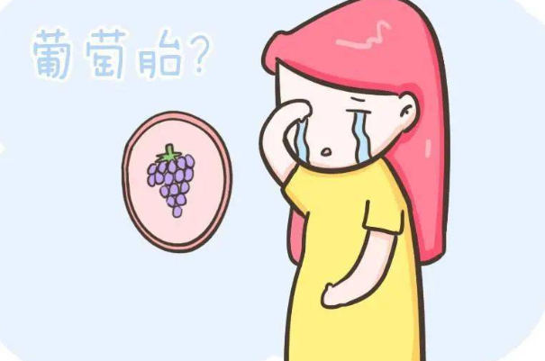 三代试管移植囊胚成功后会怀上葡萄胎吗？