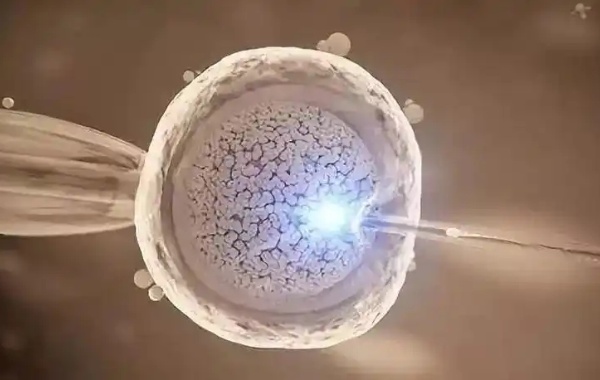 可以通过试管实现生育愿望