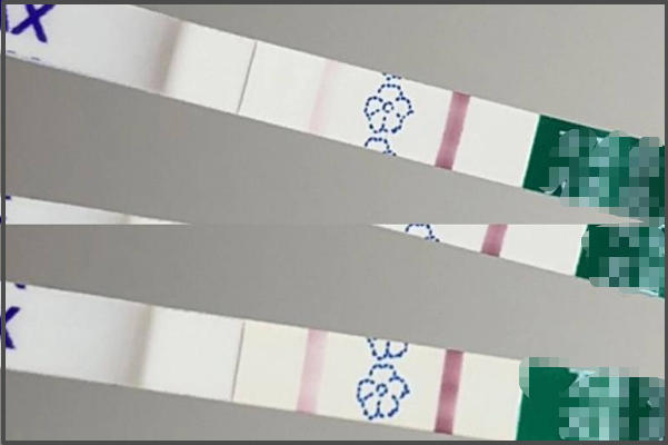 试管婴儿移植后多久可以测出怀孕？关键时间节点全解析