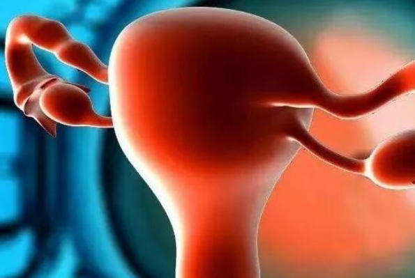 胚胎移植后一般一周内完成着床