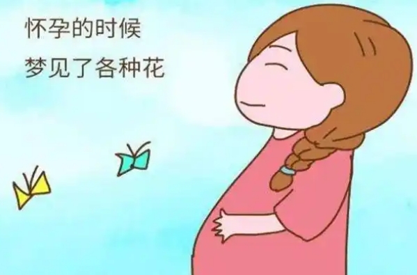 胎儿的性别是由精子决定的