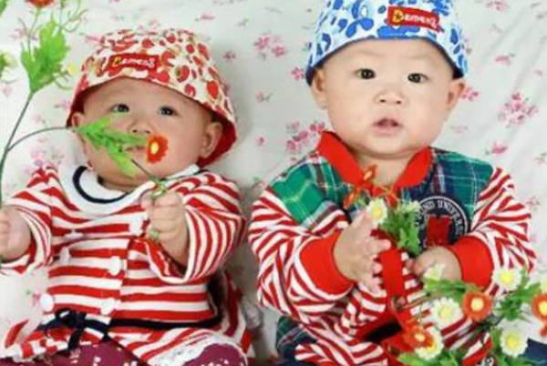 试管婴儿移植两枚胚胎追求龙凤胎：潜在发育缺陷与弊端的全面审视