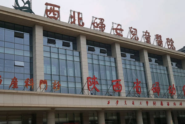 西北妇女儿童医院可做供卵试管