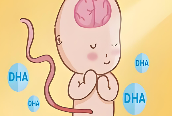 哪些孕妇不适合吃澳乐乳dha来促进胎宝宝的发育？