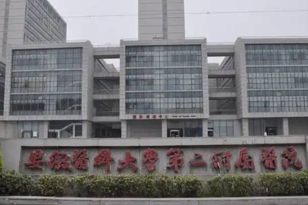 安徽省二院供卵试管婴儿费用揭秘，除了检查还有这些花销