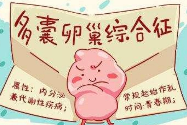 调整生活方式有利于多囊备孕