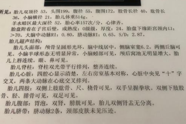 大排畸数据不能准确看出是男是女