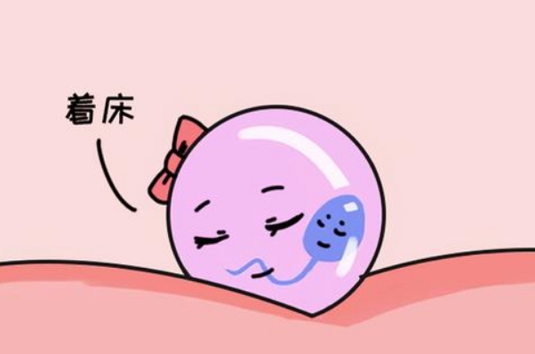 移植成功后会发生尿频