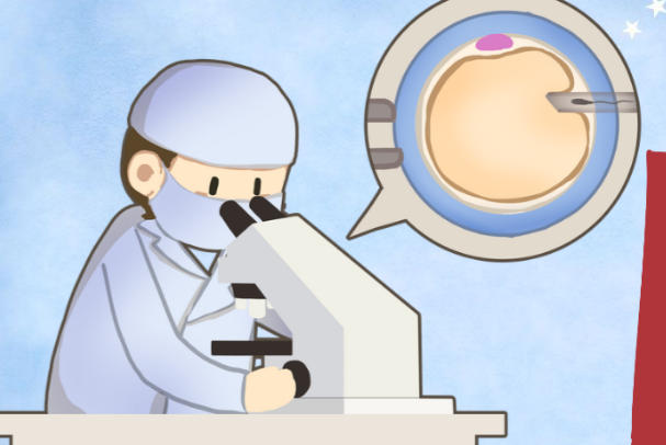 年龄会影响胚胎存活的时间