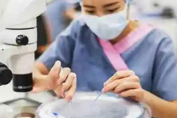 10个胚胎一年的冷冻费是8000元