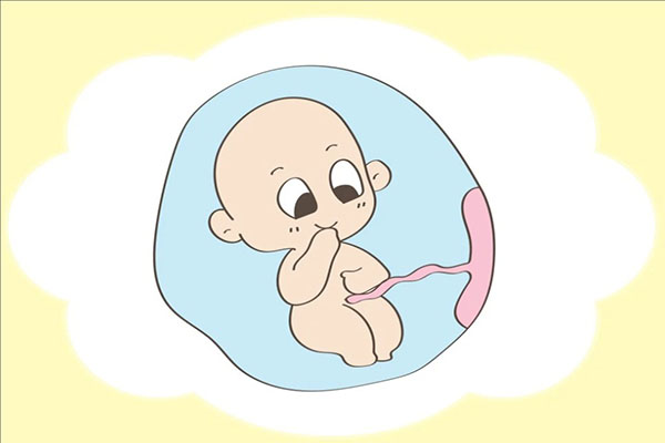 胎儿大小与孕周对照表分享，看完轻松掌握每周发育情况