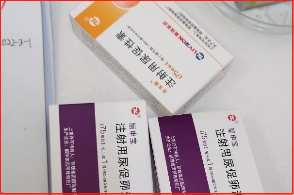 促排药物可以促进卵泡发育