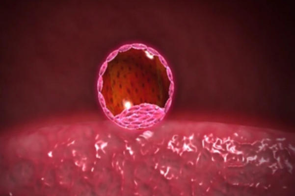 试管婴儿刚做完胚胎移植后可以直接去公司上班吗？