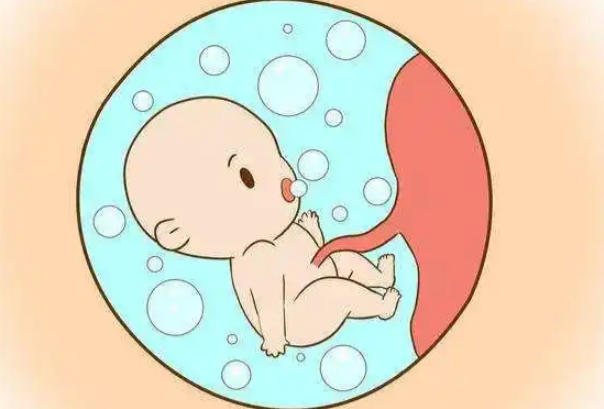 胚胎质量会影响着床概率